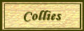 Collies