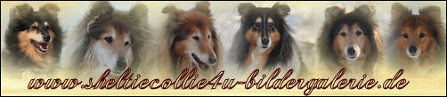 Banner-bildergalerie0903