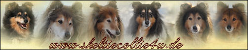 Gästebuch Banner - verlinkt mit http://www.sheltiecollie4u.de