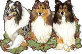 xmasgraphic162804